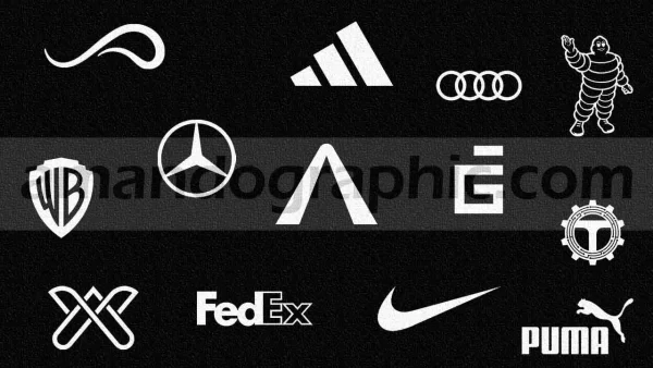 Familiarity With Logo Design Styles